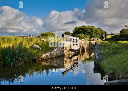 Bude Canal und Sümpfe; Schleuse; Cornwall; UK Stockfoto