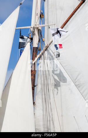 Tall Ship Segeln; Regatta; Falmouth 2014 Cornwall; UK Stockfoto