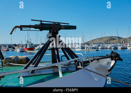 Harpune, am Bug eines Wals Boot im Hafen von Bodø, Norwegen montiert. Stockfoto