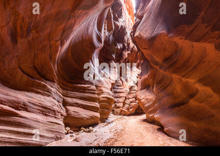 Schmale Wildnis Slot Canyon innerhalb Buckskin Gulch im südlichen Utah. Stockfoto