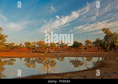 Australischen outback-Landschaft während der Dürre mit Bäumen & blaue Himmel spiegelt sich in der Spiegelfläche des Wassers im Oasis in der Abenddämmerung Stockfoto