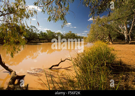 Paroo River, permanente Binnenschifffahrt im Schatten von großen Eukalyptusbäumen im Currawinya National Park in Outback Queensland Australien Stockfoto