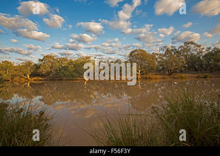 Paroo River mit native Eukalyptusbäumen und blauem Himmel spiegelt sich in ruhigem Wasser im Currawinya National Park, outback Queensland Australien Stockfoto