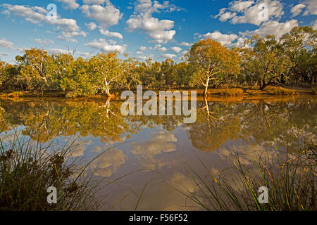 Paroo River mit native Eukalyptusbäumen und blauem Himmel spiegelt sich in ruhigem Wasser im Currawinya National Park, outback Queensland Australien Stockfoto