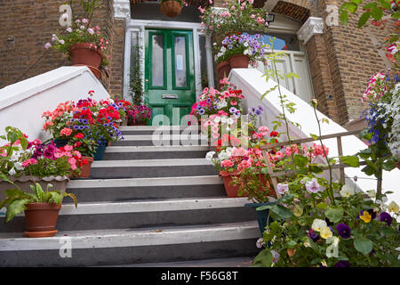 Treppe zur Haustür des Reihenhaus, dekoriert mit Blumentöpfen und Blumen, London England Vereinigtes Königreich UK Stockfoto