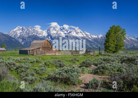 Eine Scheune bei Mormonen Zeile in Grand Teton Nationalpark, Wyoming, USA. Stockfoto