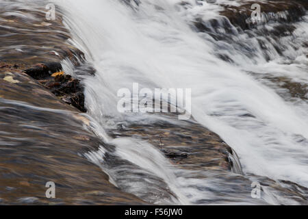Schöne kleine Wasserfälle von einem schnellen Bach im Wald Stockfoto