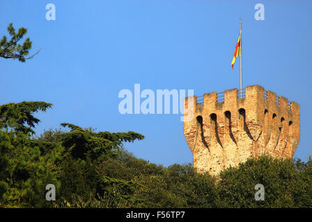 Este ist eine Stadt und Comune von Provinz von Padua, in der Region Venetien, Norditalien. Die Wände des Schlosses Carrarese, baute es um 1339 auf den Trümmern des Schlosses Este.  Die Wände bilden ein Polygon umgeben von Türmen in regelmäßigen Abständen. Heute ist das Innere des Schlosses als Garten genutzt. Stockfoto