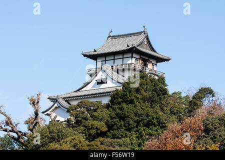 Japan, Inuyama Castle auch bekannt als Hakutei Jo. Main borogata Stil gegen den blauen Himmel, auf einem Hügel, umgeben von Bäumen. Stockfoto