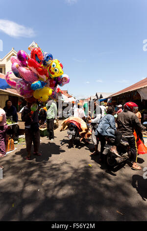 SULAWESI, Indonesien - 8. August 2015:, traditioneller Markt, Mann auf Fahrrad mit zwei Schweine in Tomohon Stadt, Sulawesi, August 8. 20 Stockfoto