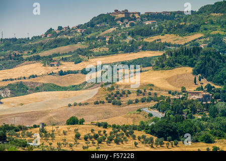 Landschaft mit Weingut und Agriturismo in der Nähe von San Gimignano, Toskana, Italien Stockfoto