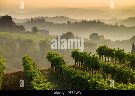 Landschaft in den Sonnenaufgang in der Nähe von San Gimignano, Toskana, Italien, Europa. Stockfoto