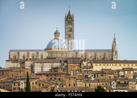 Kathedrale in der Altstadt des mittelalterlichen Siena, Italien, Europa Stockfoto