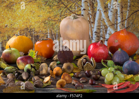 Herbst Natur-Konzept. Stockfoto