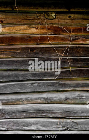 Vintage-Hintergrundtextur. Holzwand des alten Landhaus aus Protokollen als eine Hintergrundtextur. Stockfoto