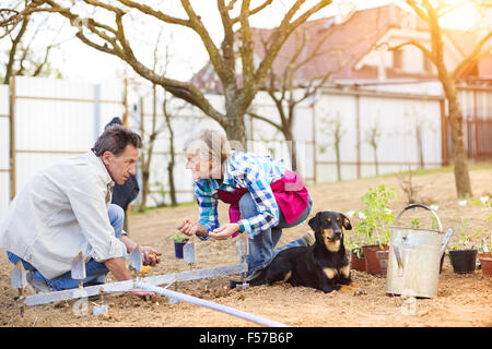 Senior in ihrem Garten Stockfoto