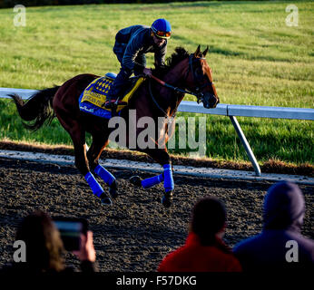 Lexington, Kentucky, USA. 29. Oktober 2015. 29. Oktober 2015: Amerikanisches Pharoah, von Bob Baffert geschult und im Besitz von Zayat Stables, LLC, Übungen in Vorbereitung auf den Breeders' Cup Classic bei Keeneland Race Track in Lexington, Kentucky am 29. Oktober 2015. John Voorhees/ESW/CSM/Alamy Live-Nachrichten Stockfoto