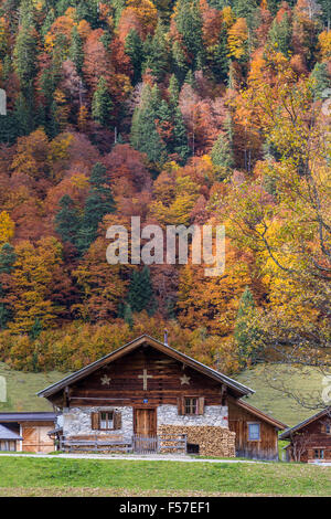 Berghütte vor herbstlichen Wald, Eng-Alm, Hinterriss, Karwendel, Tirol, Österreich Stockfoto