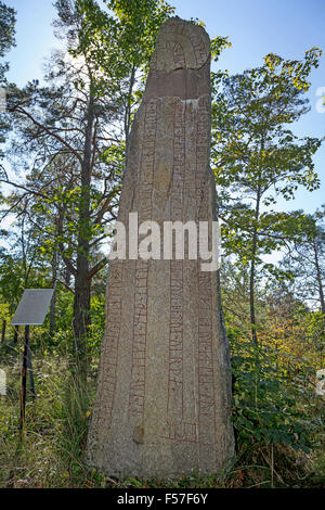 Runenstein U 323, Sälna, Skånela Gemeinde, Uppland. Schweden. Stockfoto