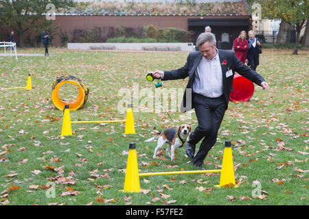 London, UK. 29. Oktober 2015. Henry Smith MP, Crawley, mit seinen Beagle Welpen Frisbee. Mitglieder des Parlaments und ihre Hunde Pfoten für einen Sieg in der jährlichen Westminster Dog of the Year Wettbewerb organisiert von Dogs Trust und der Kennel Club. Bildnachweis: Lebendige Bilder/Alamy Live-Nachrichten Stockfoto