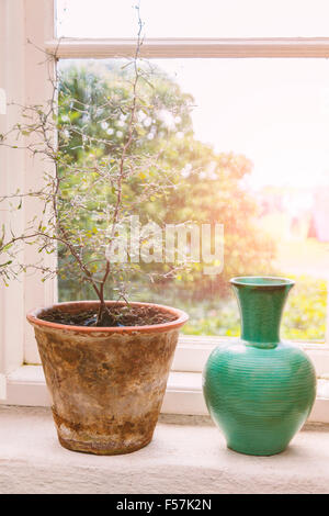 Bild von einer rustikalen Fensterbank mit Blumentopf und Vase. Stockfoto