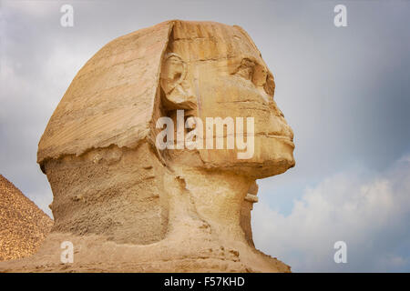 Bild der Sphinx Gixa, Kairo. Stockfoto