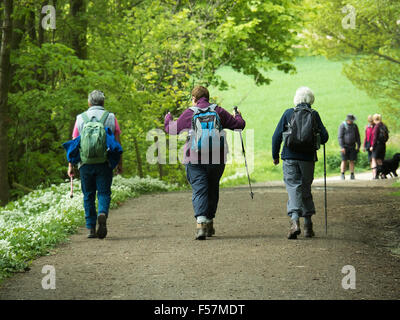 Drei Lady Wanderer North York Moors National Park Stockfoto