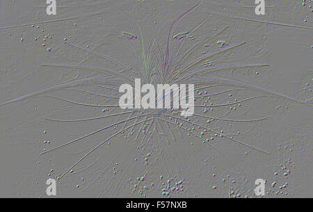 Abstraktion in Form von Flachreliefs Fossilien oder Spur. Fraktale Kunst Grafik Stockfoto