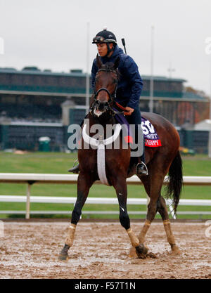 Lexington, KY, USA. 28. Oktober 2015. 28. Oktober 2015: Runhappy, von Maria Borell geschult und im Besitz von James McIngvale, wird in des Züchters Cup TwinSpires Sprint eingetragen. Candice Chavez/ESW/CSM/Alamy Live-Nachrichten Stockfoto