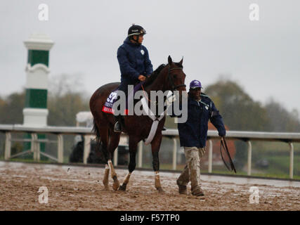 Lexington, KY, USA. 28. Oktober 2015. 28. Oktober 2015: Runhappy, von Maria Borell geschult und im Besitz von James McIngvale, wird in des Züchters Cup TwinSpires Sprint eingetragen. Candice Chavez/ESW/CSM/Alamy Live-Nachrichten Stockfoto