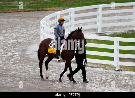 Lexington, KY, USA. 28. Oktober 2015. 28. Oktober 2015: Keen Eis, ausgebildet von Dale Romans, und im Besitz von Donegal Racing, wird in des Züchters Cup Classic eingetragen. Candice Chavez/ESW/CSM/Alamy Live-Nachrichten Stockfoto