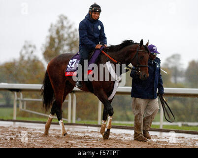 Lexington, KY, USA. 28. Oktober 2015. 28. Oktober 2015: Runhappy, von Maria Borell geschult und im Besitz von James McIngvale, wird in des Züchters Cup TwinSpires Sprint eingetragen. Candice Chavez/ESW/CSM/Alamy Live-Nachrichten Stockfoto