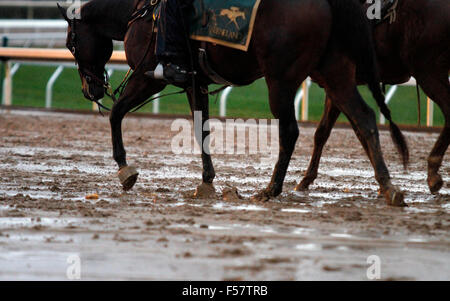 Lexington, KY, USA. 28. Oktober 2015. 28. Oktober 2015: Regnerisch Keeneland Morgen nur Tage vor der Züchter Cup. Candice Chavez/ESW/CSM/Alamy Live-Nachrichten Stockfoto