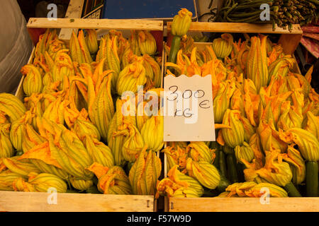 Zucchini Zucchini zum Verkauf an italienischen Marktstand nahm frisch mit Blumen Stockfoto