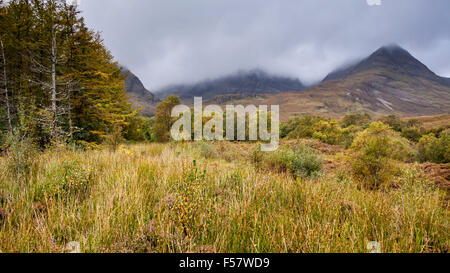 Herbstfärbung unter Blaven in der Nähe von Torrin auf der Isle Of Skye, Schottland. Stockfoto