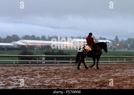 Lexington, KY, USA. 28. Oktober 2015. 28. Oktober 2015: Regnerischen Morgen bei Keeneland nur wenige Tage vor der Züchter Cup. Candice Chavez/ESW/CSM/Alamy Live-Nachrichten Stockfoto