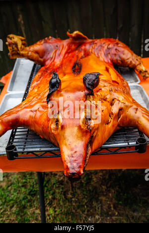 Ein dramatisch knusprig gebratene Schwein auf einem Gestell im Freien, nur von der traditionellen kubanischen Stil oberirdisch Box Kochen entfernt Stockfoto