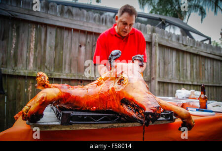 Ein dramatisch knusprig gebratene Schwein auf einem Gestell im Freien, nur von der traditionellen kubanischen Stil oberirdisch Box Kochen entfernt Stockfoto