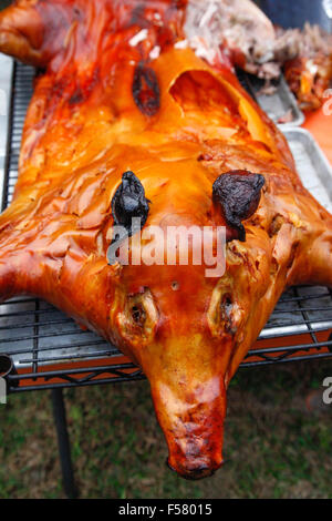 Ein dramatisch knusprig gebratene Schwein auf einem Gestell im Freien, nur von der traditionellen kubanischen Stil oberirdisch Box Kochen entfernt Stockfoto