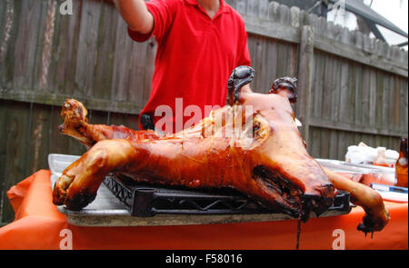 Ein dramatisch knusprig gebratene Schwein auf einem Gestell im Freien, nur von der traditionellen kubanischen Stil oberirdisch Box Kochen entfernt Stockfoto