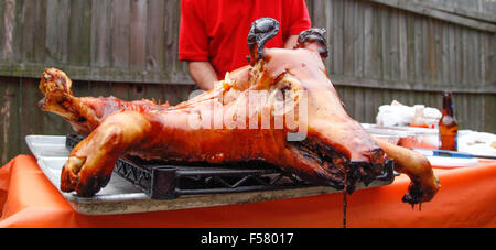 Ein dramatisch knusprig gebratene Schwein auf einem Gestell im Freien, nur von der traditionellen kubanischen Stil oberirdisch Box Kochen entfernt Stockfoto