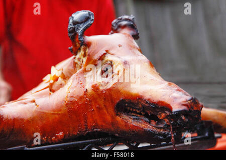 Ein dramatisch knusprig gebratene Schwein auf einem Gestell im Freien, nur von der traditionellen kubanischen Stil oberirdisch Box Kochen entfernt Stockfoto