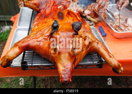 Ein dramatisch knusprig gebratene Schwein auf einem Gestell im Freien, nur von der traditionellen kubanischen Stil oberirdisch Box Kochen entfernt Stockfoto