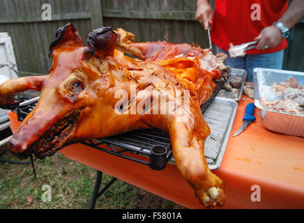 Ein dramatisch knusprig gebratene Schwein auf einem Gestell im Freien, nur von der traditionellen kubanischen Stil oberirdisch Box Kochen entfernt Stockfoto