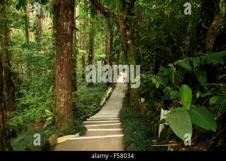 Wandern durch den Regenwald auf die Arenal Observatory Lodge in La Fortuna, Costa Rica Stockfoto