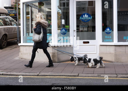 Blonde Frau hält eine große Designer-Handtasche schreiten entlang der Straße mit ihren zwei wertvollen Hunde an der Leine gehen hinter ihr Stockfoto