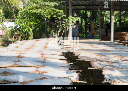 Sau Hoai Reis Nudelfabrik, Can Tho, Mekong-Delta, Reispapier Crepes trocknen in der Sonne, Vietnam Stockfoto