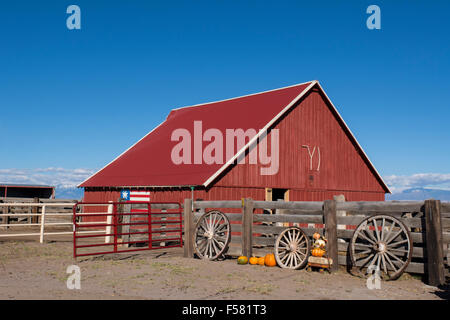 Colorado, südlichen Colorado, San Luis Valley, Mosca. 100 Jahre alte Scheune (Baujahr 1912) mit Herbst Kürbisse. Stockfoto