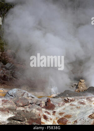 Steamboat Geyser Yellowstone Park. Stockfoto