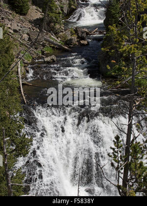 Yellowstone-Nationalpark, Firehole River Stockfoto